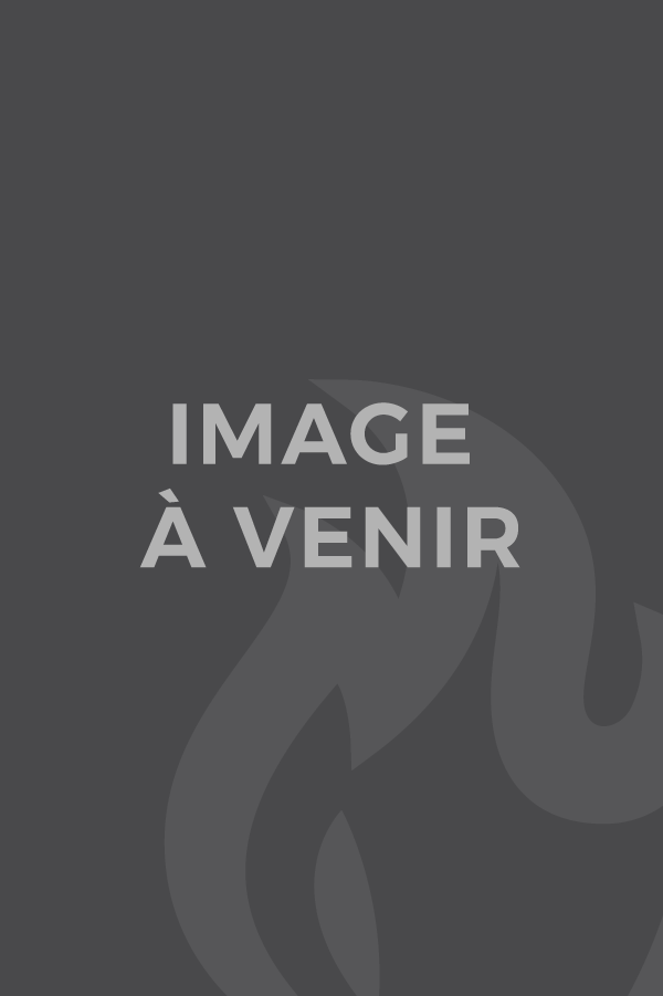 Traiteur Quebec - Mechoui Lechasseur